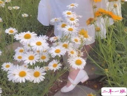 文艺古风唯美句子 很有韵味的古风说说1