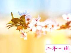 2020春天朋友圈文案 适合春天的说说简短清新