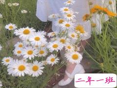 文艺古风唯美句子 很有韵味的古风说说