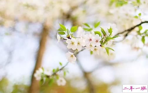 心里好烦用一段话表达的句子心情 形容焦虑的心情句子配图5