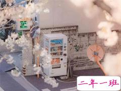 特别美好的句子合集 唯美诗意句子吸引人