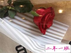 很美有意境的句子 美到骨子里的说说句子