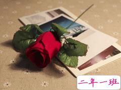 写在明信片上的优美短句 最火爆明信片上的文艺句子