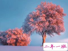 森系文艺唯美小句子 适合朋友圈的文艺说说