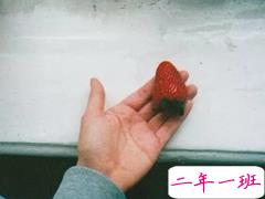 突然好心疼自己的句子 写给傻傻的自己一句话看了好心酸