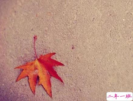 十分温柔干净的微信说说 惊鸿一瞥的温柔句子大全1