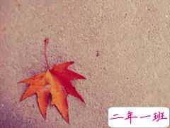 十分温柔干净的微信说说 惊鸿一瞥的温柔句子大全