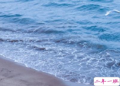 海边游玩发朋友圈的说说 海边度假说说唯美句子2