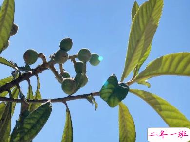 最火爱情英文短句带翻译 你稳稳的住在我心底2