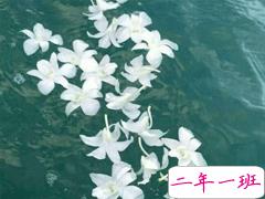 清新好听的英文句子 微信英文说说唯美气质