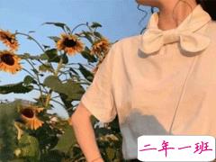 友谊唯美短句适合发朋友圈 关于友情的简短文案