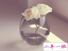 2019伤感经典语录英文版 忧伤的英文句子带翻译