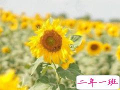 旅游发朋友圈的精美句子 朋友圈文案简短好听文艺