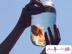 充满正能量的英文句子带翻译 抖音最火励志英文句子合集