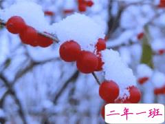 适合初雪发的文案文艺范 初雪的唯美说说发朋友圈