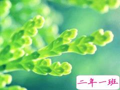 最新朋友圈说说阳光温暖 听起来很舒服轻松的句子