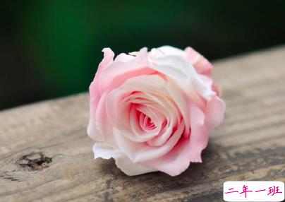 最美文艺句子简短好听 适合女生的说说唯美有韵味1