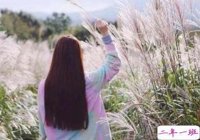 qq扩列宣言优美文艺句子 以梦为马不负韶华1