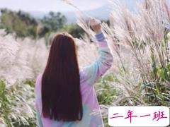 qq扩列宣言优美文艺句子 以梦为马不负韶华