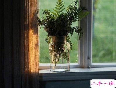 早安说说唯美文艺句子 qq早安心语简单一句话1