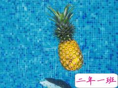 早安说说唯美文艺句子 qq早安心语简单一句话