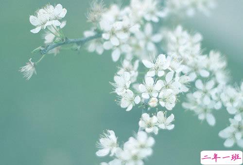 很有诗意的英文哲理句子 一句话但是很有意思的内涵句子 1