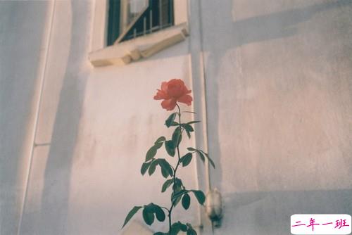 很有诗意的英文哲理句子 一句话但是很有意思的内涵句子 2