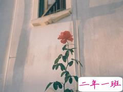 很有诗意的英文哲理句子 一句话但是很有意思的内涵句子