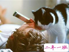 一些国外小说影视电影中的经典英文句子精选