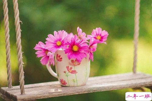 春天赏花的诗句唯美动听 2019春天赏花踏青诗句合集1