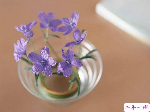 2019元宵节微信短信祝福语大全 元宵节送祝福的好听优美句子1