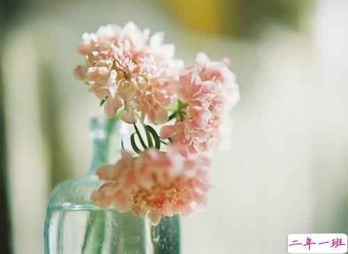 2019元宵节微信短信祝福语大全 元宵节送祝福的好听优美句子2