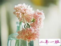 2019元宵节微信短信祝福语大全 元宵节送祝福的好听优美句子