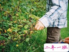 齁死人的情侣间情话合集 抖音最美情话短句精辟好听