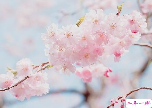 个人最欣赏的古诗词合集 唯美古诗词说说心情短语1