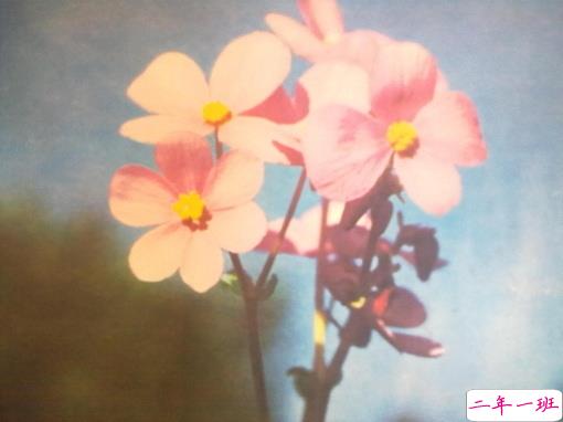 个人最欣赏的古诗词合集 唯美古诗词说说心情短语2