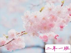 个人最欣赏的古诗词合集 唯美古诗词说说心情短语