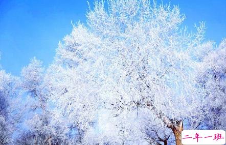 公务员发公文写作首段佳句大全 写作常用词句大全2