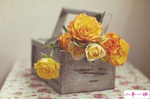 经典唯美的浪漫句子致爱情 很暖心很有爱的唯美句子大全2