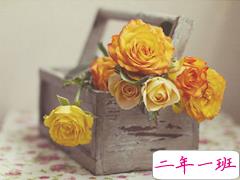 经典唯美的浪漫句子致爱情 很暖心很有爱的唯美句子大全