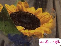 30件变优秀提升幸福感的事情 带给我们幸福感