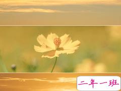 教会你为人处世的经典格言 时尚学不好宁愿纯朴