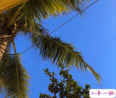 写到人心坎里面得句子 我与我周旋久宁作我2