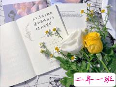 让对方特别有安全感的文案 适合表白的走心温暖文案