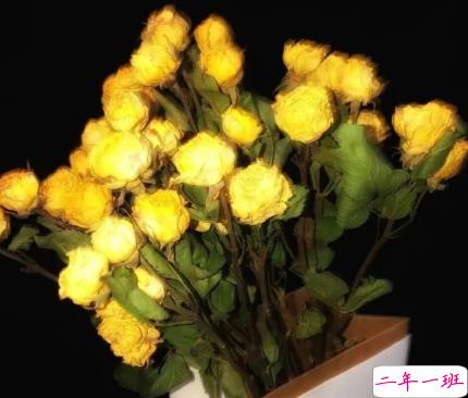 冬季跟对象表达爱意暖心的句子 用看日月你就是星辰1