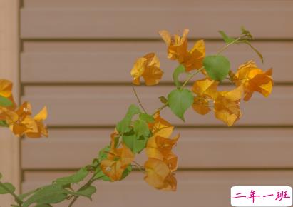 2020双十一光棍节表白必成功的文案 很搞笑可爱的祝福表白语录2