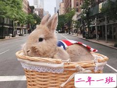 文艺感哲理深意正能量句子 温暖的文写着倔强的字