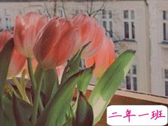 网易云刻骨铭心的浪漫的句子 让人喜欢的最火句子