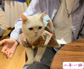 情侣公布恋情的高端的文案 有趣的朋友圈秀恩爱文案1