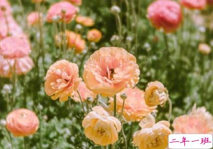 一句话哲理句子人生感悟 人生没有白走的路1